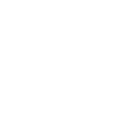 Pelopac Logo